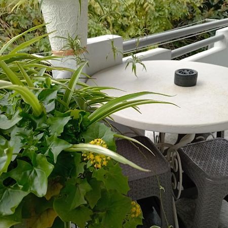 Guesthouse Next To Beach Batumi Ngoại thất bức ảnh